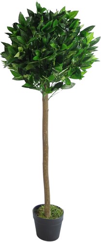 Artificial bay tree - tree, in