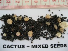Mixed Cacti Seeds or Mixed