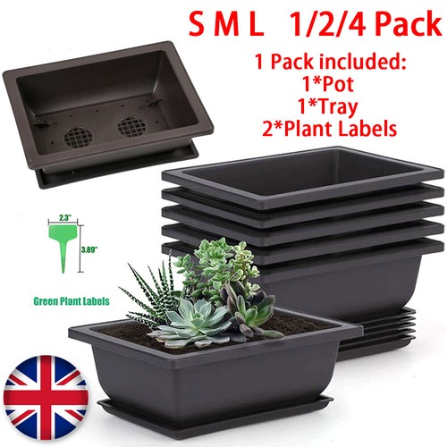Plastic bonsai training - plastic,
