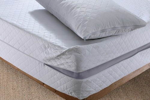 100 anti bug dust - bug, zipped
