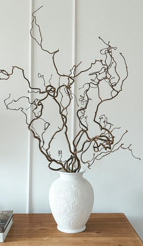 Twisted hazel branches corylus - twisted,
