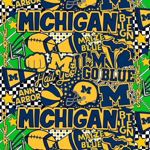 University michigan wolverines - university,
