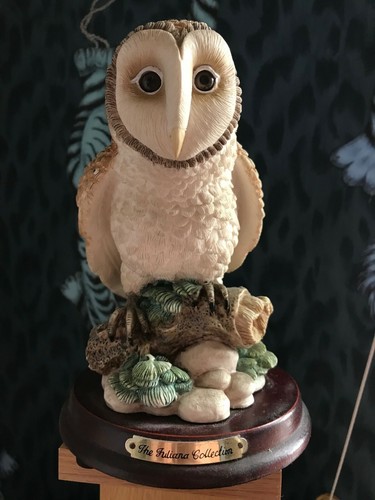 Large owl from - owl,