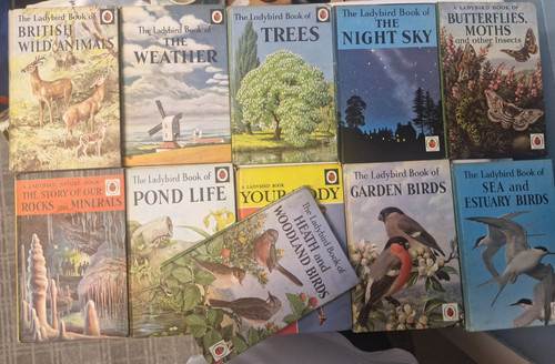 Ladybird nature book series - nature,