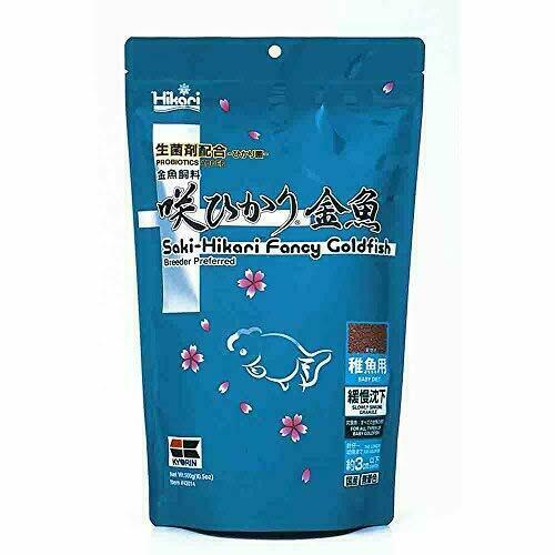 Hikari fancy goldfish - , slow