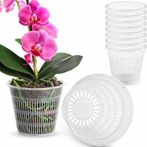 10x orchid pots clear - orchid,