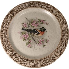 Purbeck Pottery Collector