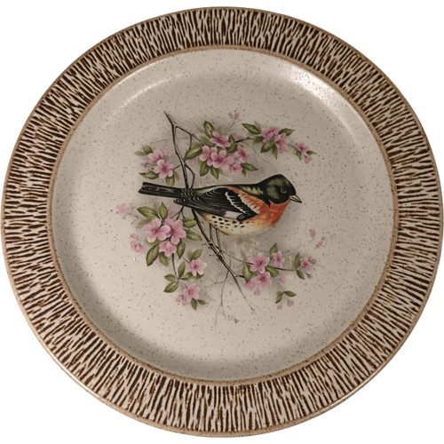 Purbeck pottery collector - purbeck,