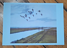 GEE VAUCHER Great Scott Print