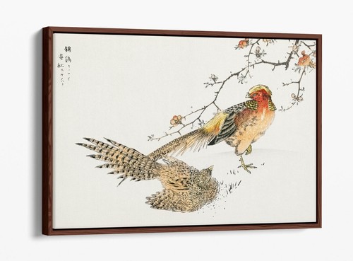 Numata kashu golden pheasant - kashu,,