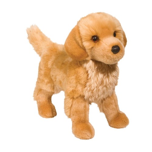 Douglas king golden retriever - douglas,