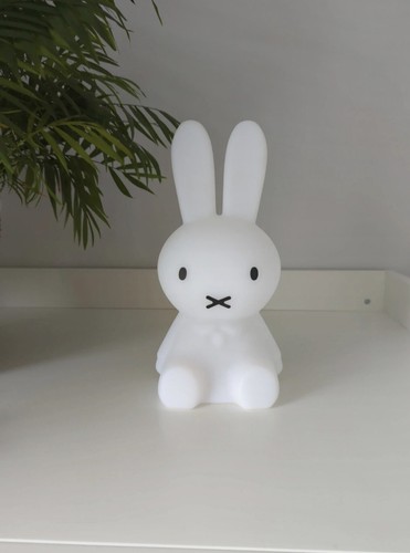 Miffy style bunny rabbit - style, night