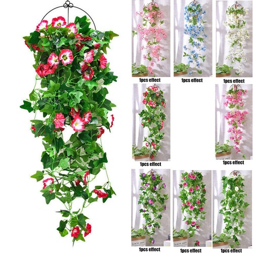 Hanging plants basket - hanging,