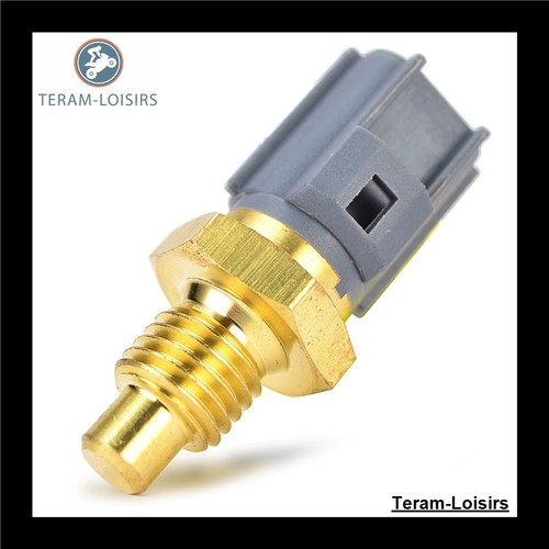 Thermostat radiator probe - probe, for
