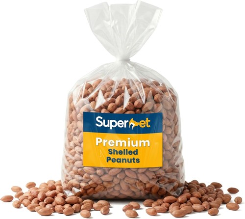 Wild bird whole peanuts - bird,