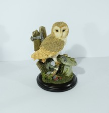 Country Artists Barn Owl With