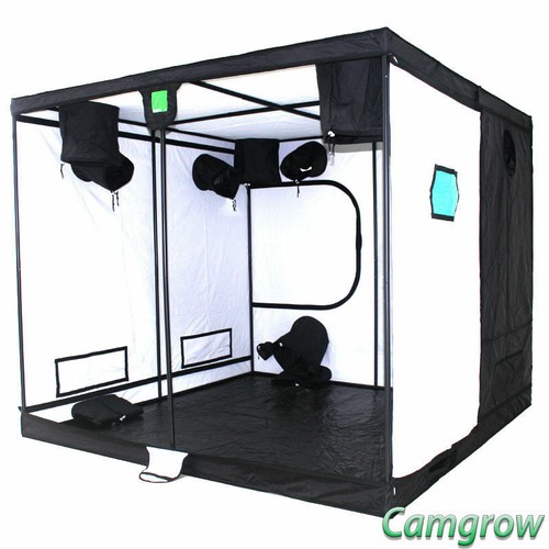 Budbox pro white titan - budbox,