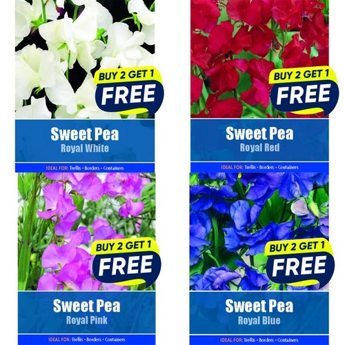 Flower seeds plants - seeds,