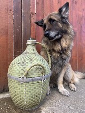 ⭐️ Vintage Antique Glass Jar Bottle Carboy Demijohn Garden Plant Pot Trough ⭐️
