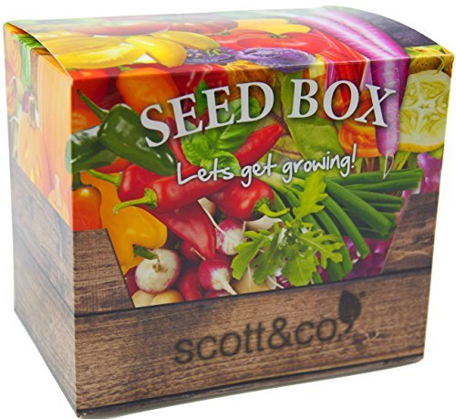 Scott new seed - co,