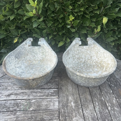 Cast vintage cattle - x2, drinker