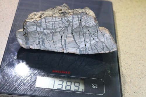 Petrified fossil wood kg - fossil, 1.3