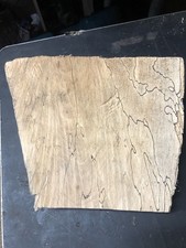 Offcut of Seasoned Spalted