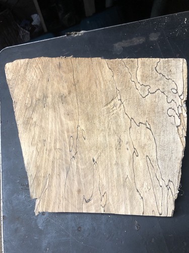 Offcut seasoned spalted - of,