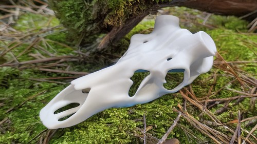 Full size printed red deer - size, 3d