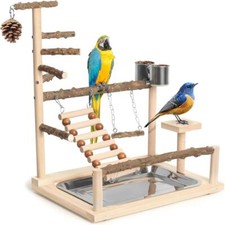 Parrot Playstand Bird Play Stand Cockatiel Playground Wood Gym Toys Feeder Cup ♡