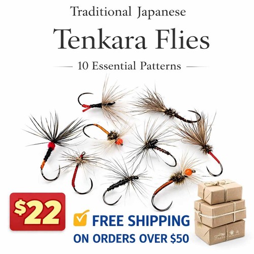 Fly fishing flies assortment - fly,