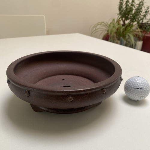 High quality new round bonsai - high,
