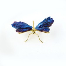 Aura Kyanite Dragonfly Healing
