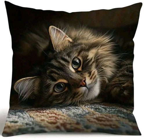 Printed maine coon - printed, kitten