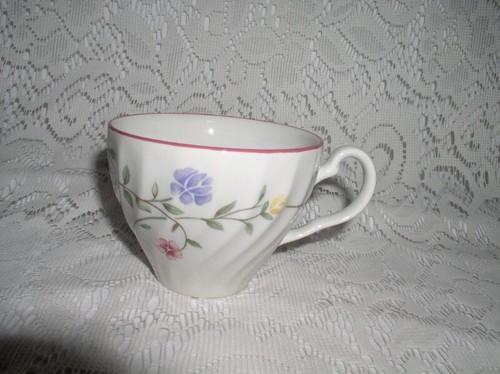 Summer chintz johnson - summer,