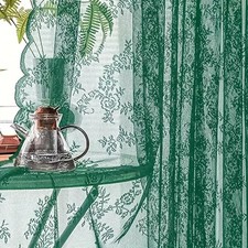 Floral embroidered lace sheer - embroidered,
