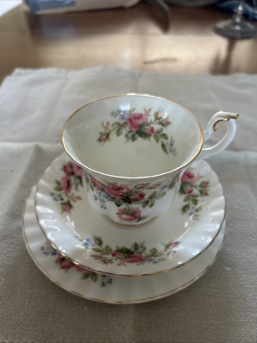Royal albert moss rose - royal,