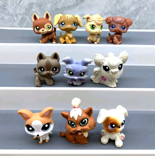 Littlest pet shop - x, dog