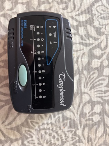 Tanglewood e205 auto - auto, chromatic