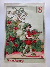 S STRAWBERRY - Alphabet