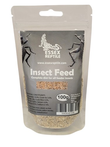 Essex reptile insect feed - essex,