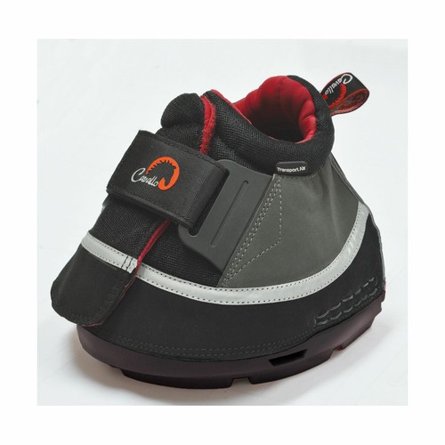 Cavallo transport air the - transport, air<p>the