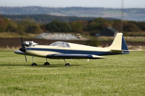 Avanti 60in pattern model - avanti,