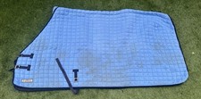 Thermatex Rug Pale Blue 5’9