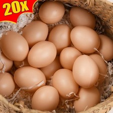 20/10Pcs Plastic Fake Eggs