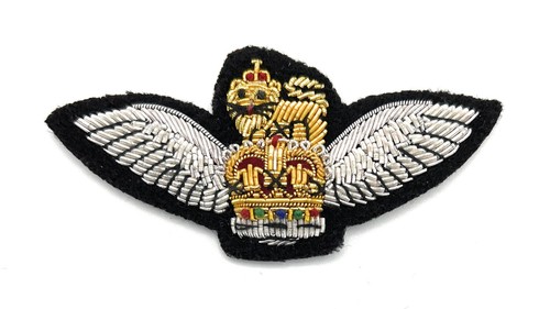Badge pilot - badge,