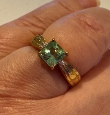 Rare Octagon cut Paraiba