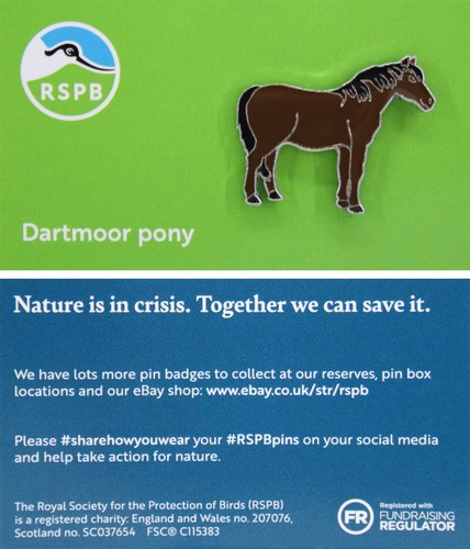 Rspb pin badge - pin, dartmoor