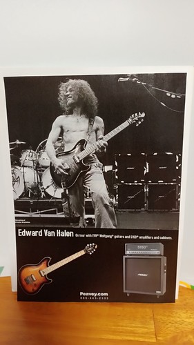 Peavey van halen wolfgang - van,