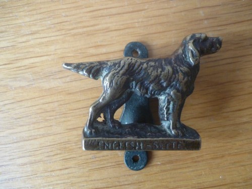 Antique english setter dog - setter,